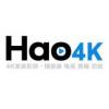 全球最大4K资源Hao4k 年度VIP会员